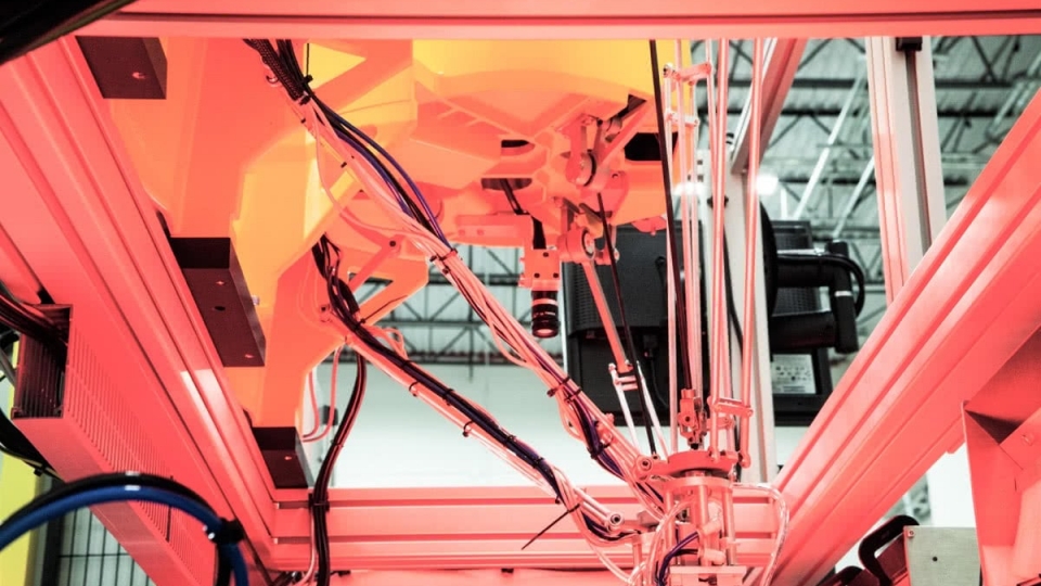 Vision Guided Delta Robotic Automation